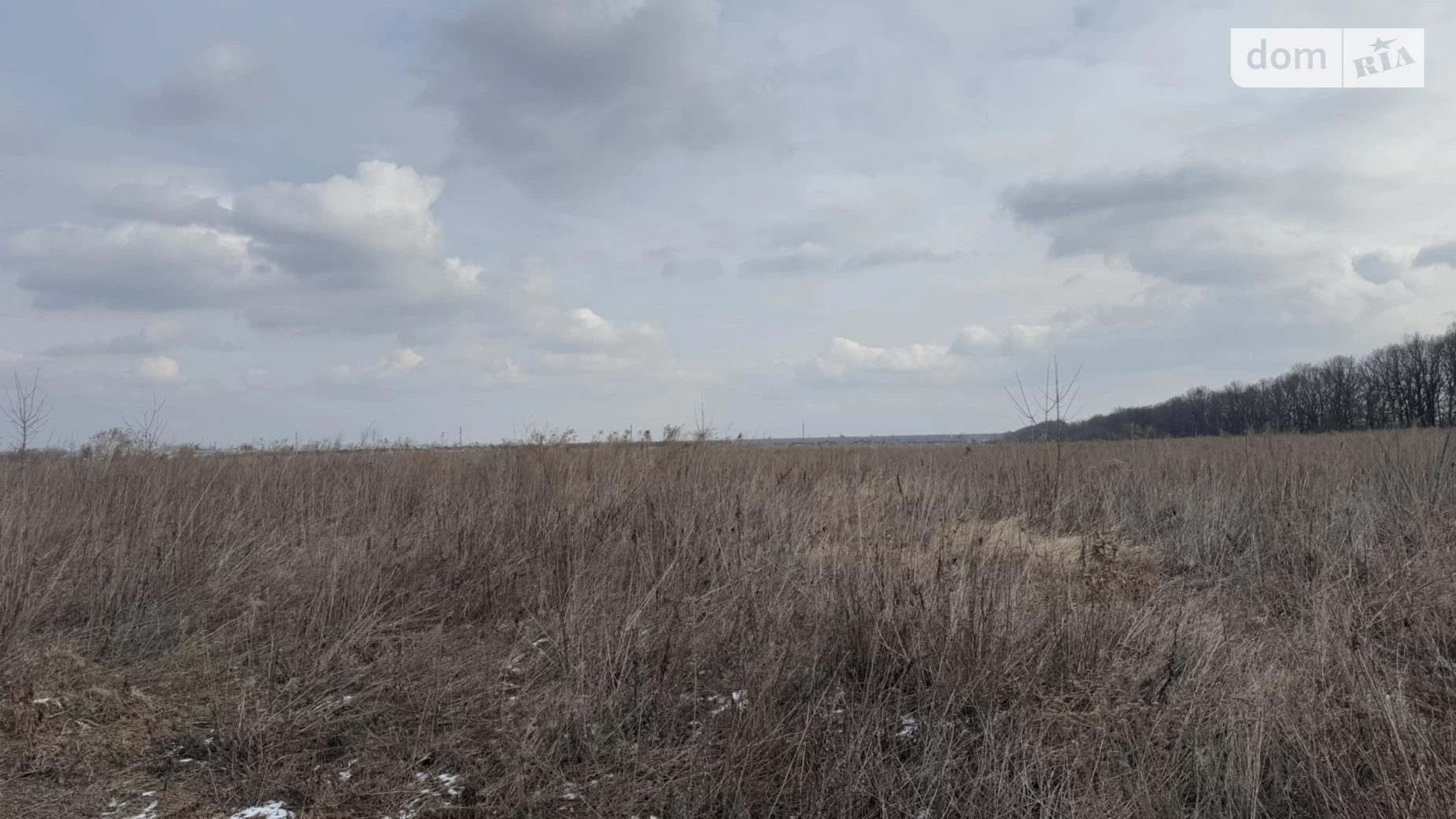 7-й пер. Леоніда Каденюка(Комарова) Агрономичное, цена: 20000 $ - фото 3
