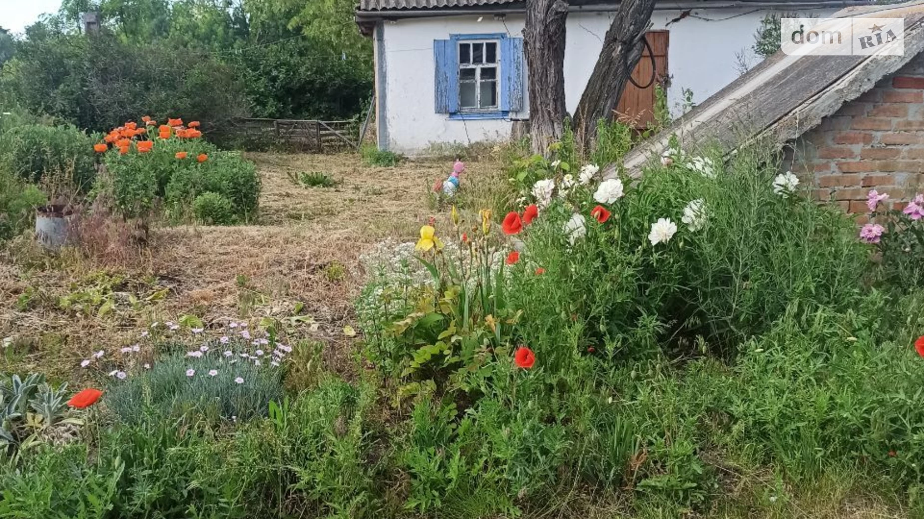 ул. Малевничая, 55 Алексеевка (Кропивницкий), цена: 7000 $ - фото 5