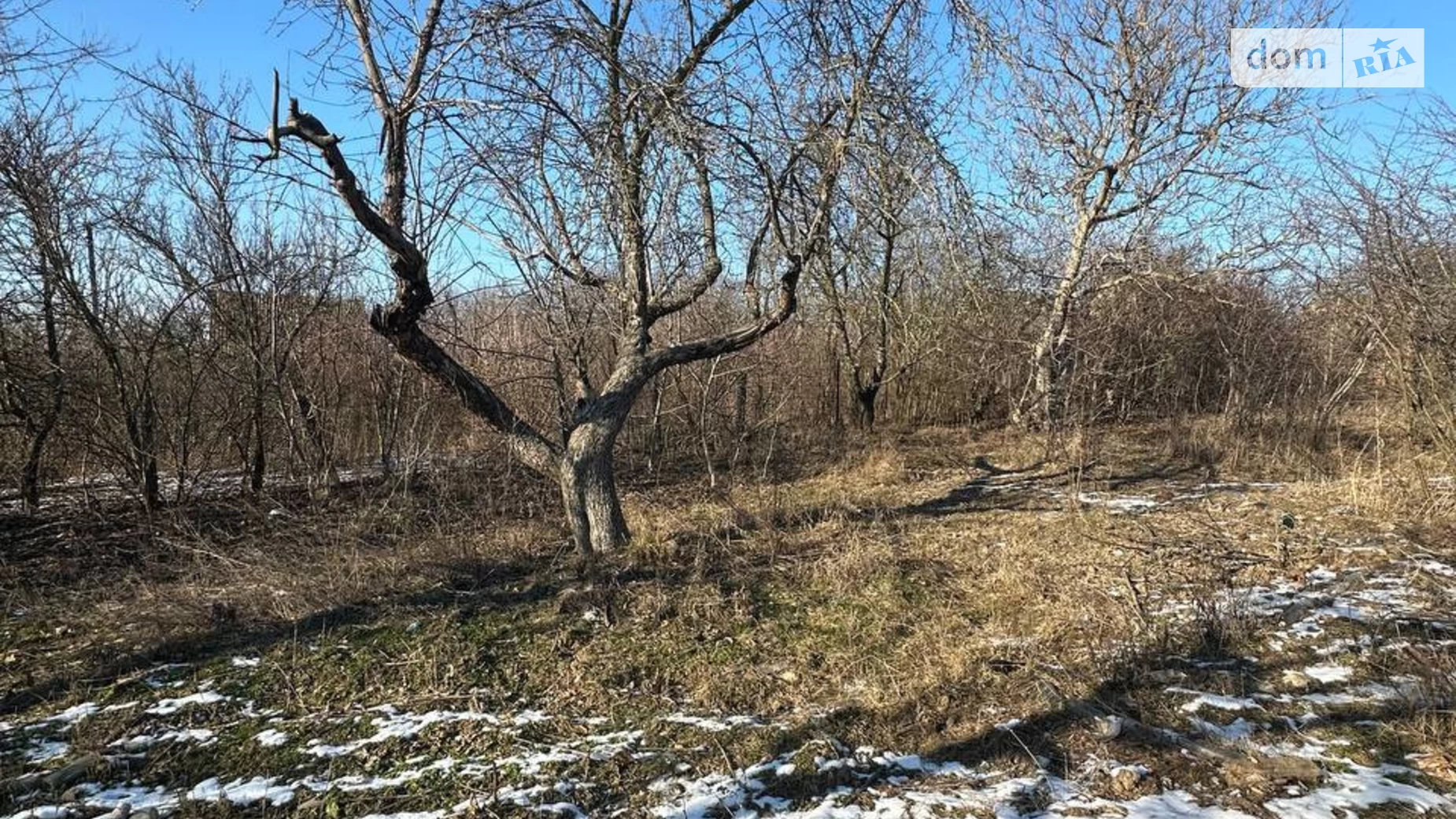 пр. Весенний Бучмы Винница, цена: 9800 $ - фото 3
