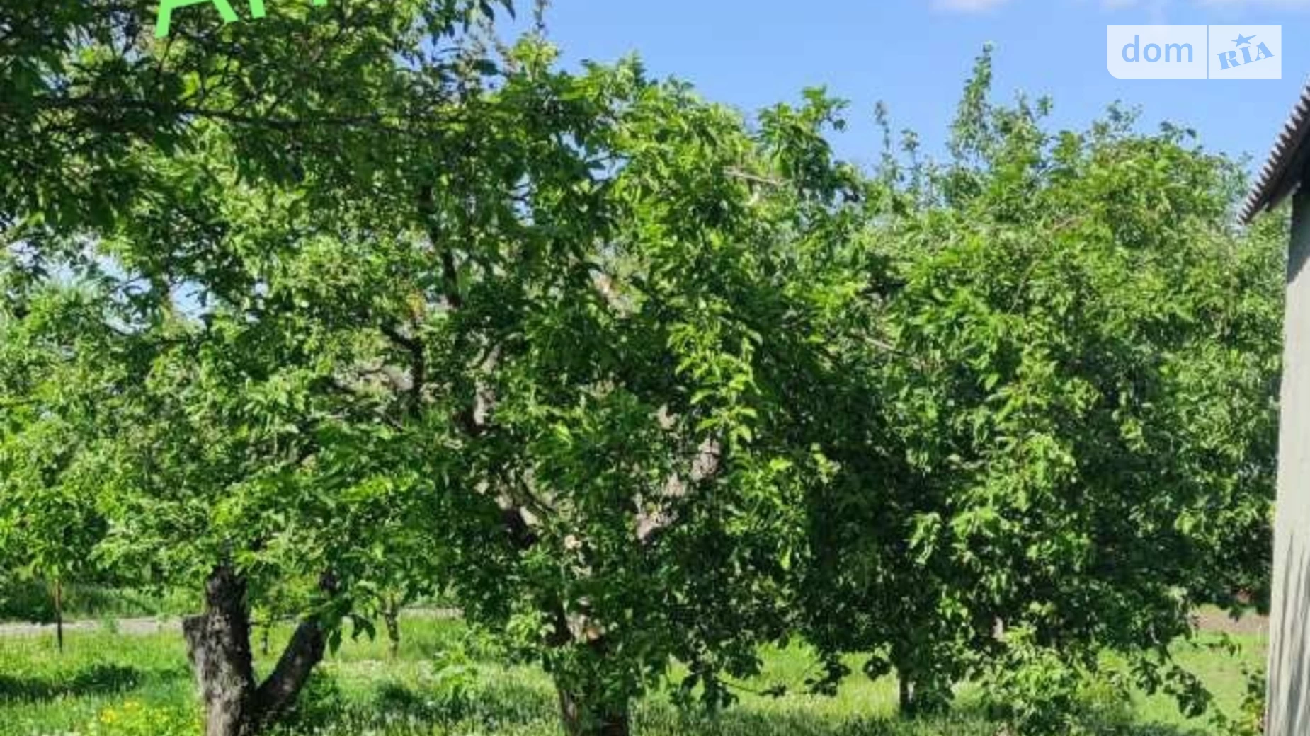 Продается одноэтажный дом 55 кв. м с бассейном, цена: 10000 $ - фото 3