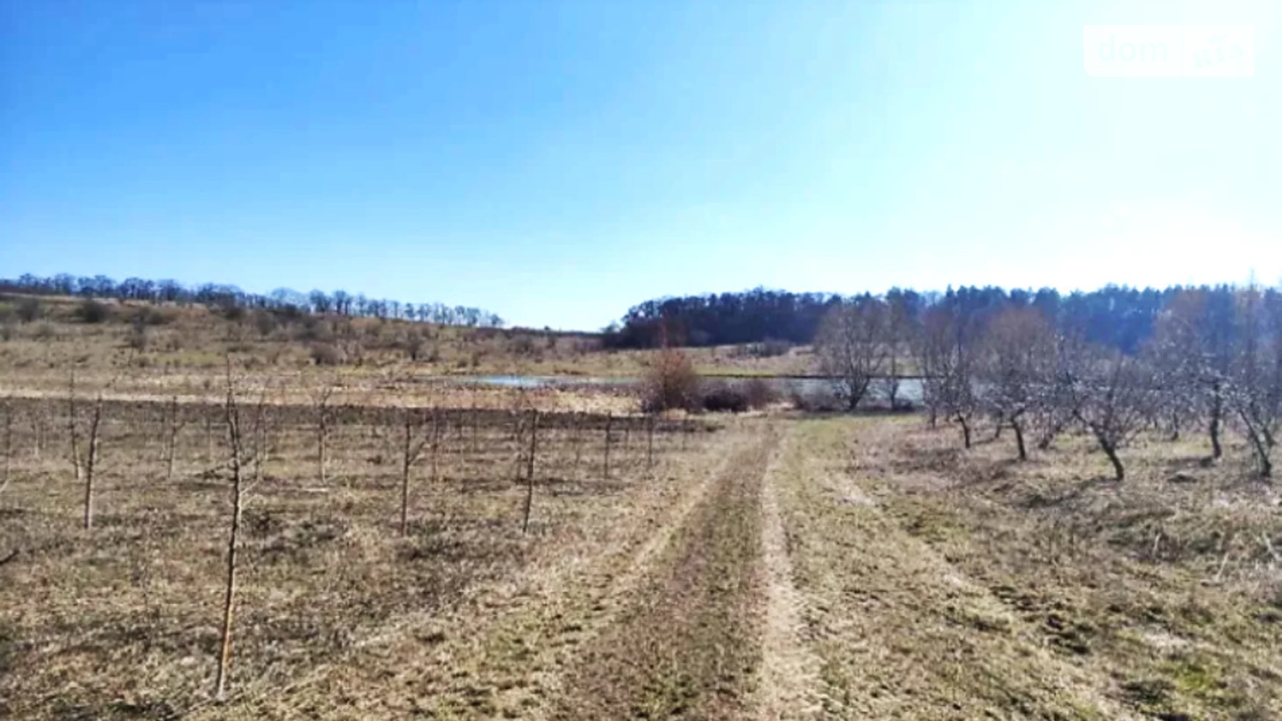 Лука-Барская, цена: 750000 $ - фото 4