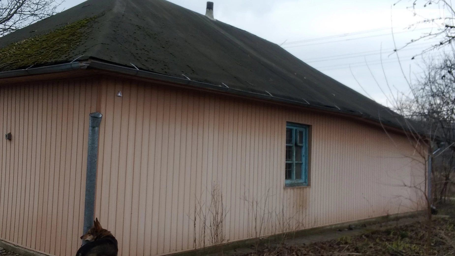 Продается одноэтажный дом 60 кв. м с балконом, цена: 10000 $ - фото 2