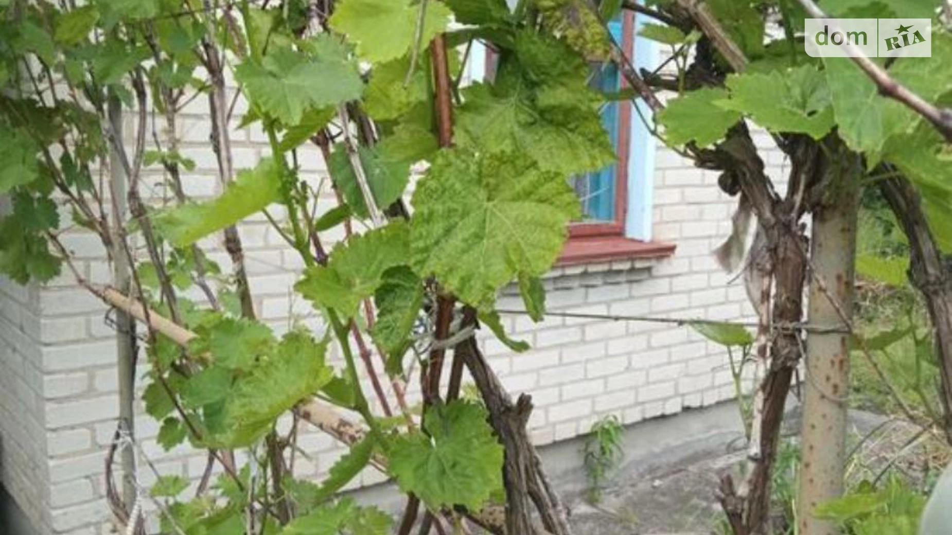 мас. Пограничник Литовеж, цена: 7000 $ - фото 2