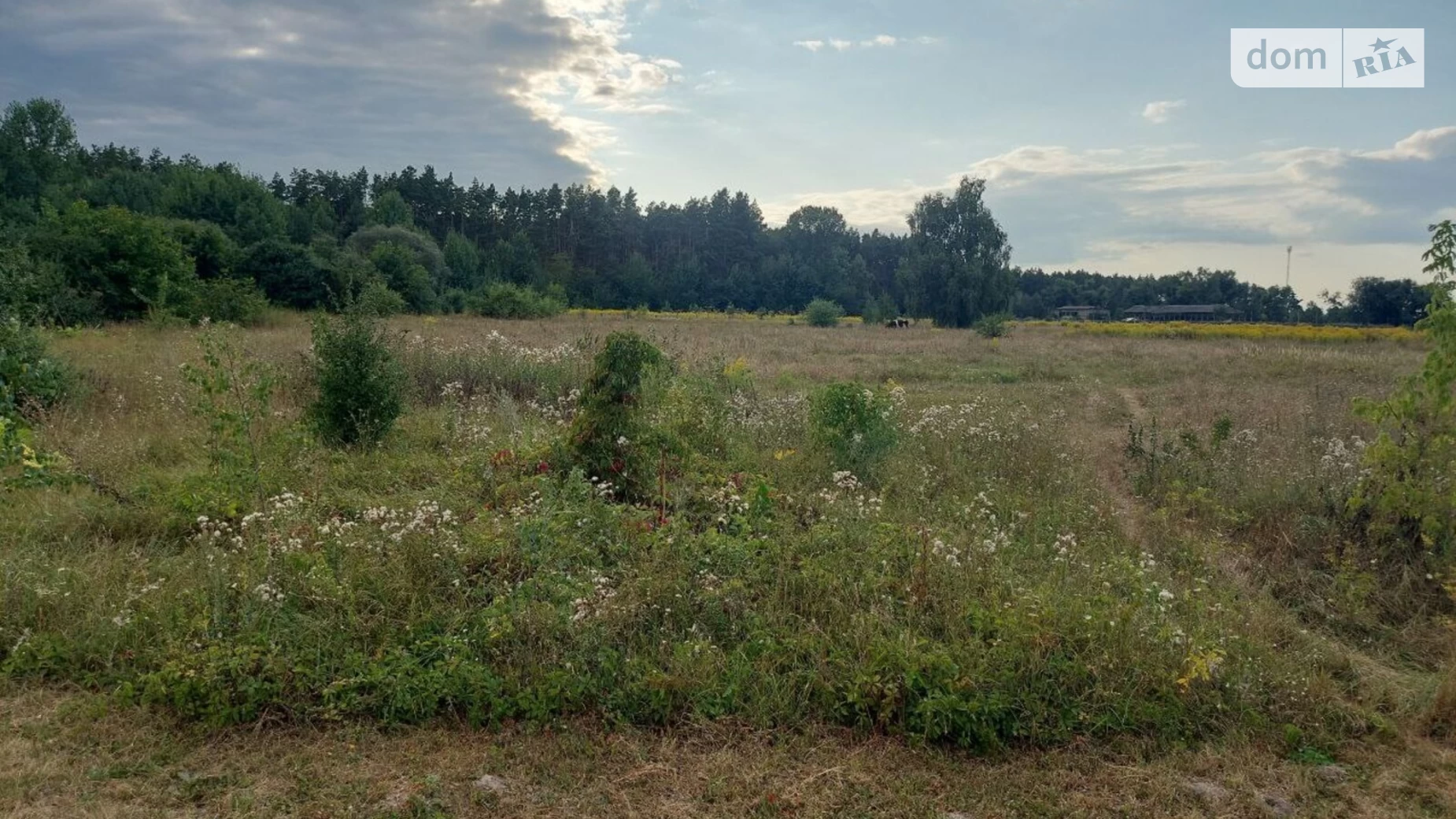 Продається земельна ділянка 10 соток у  області, цена: 5700 $ - фото 2