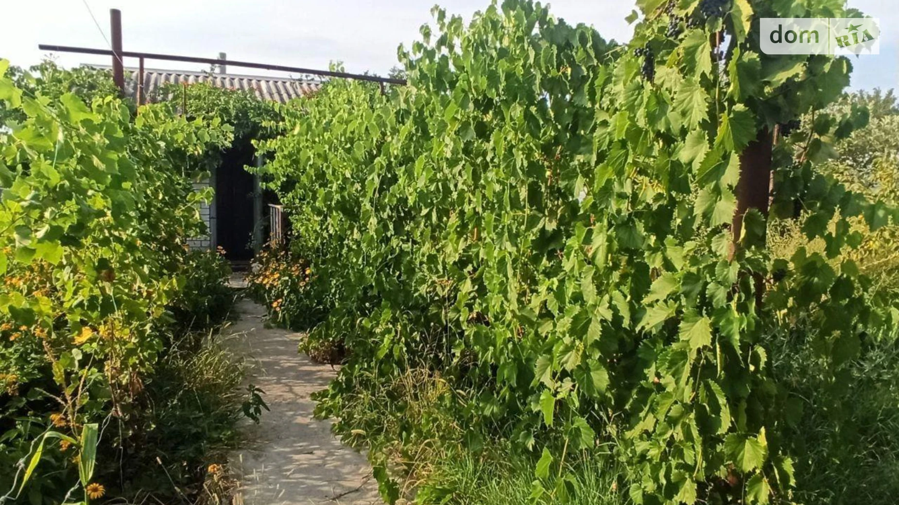 Продается дом на 3 этажа 220 кв. м с террасой, цена: 65000 $ - фото 2