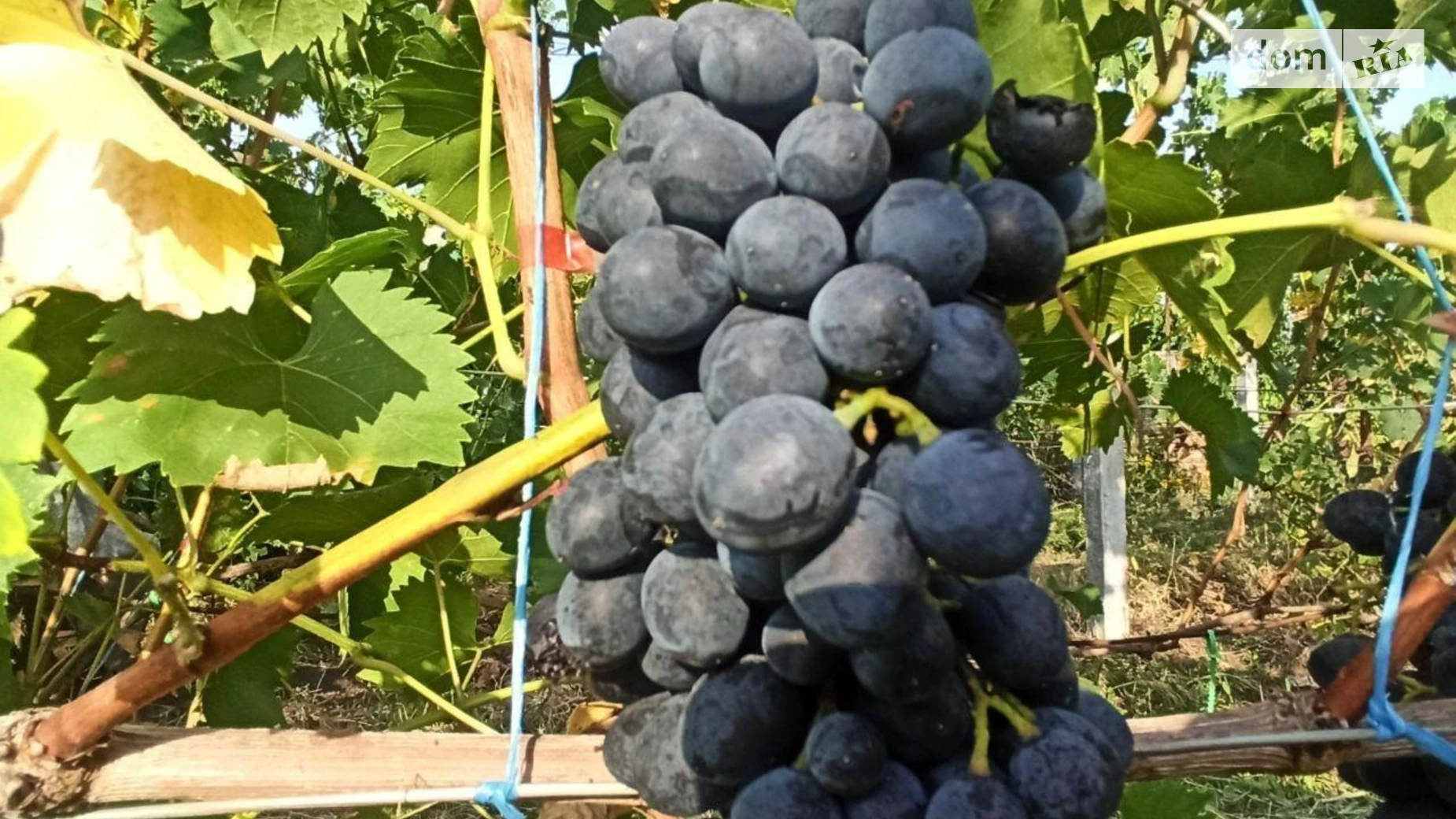 Продается дом на 3 этажа 220 кв. м с террасой, цена: 65000 $ - фото 3