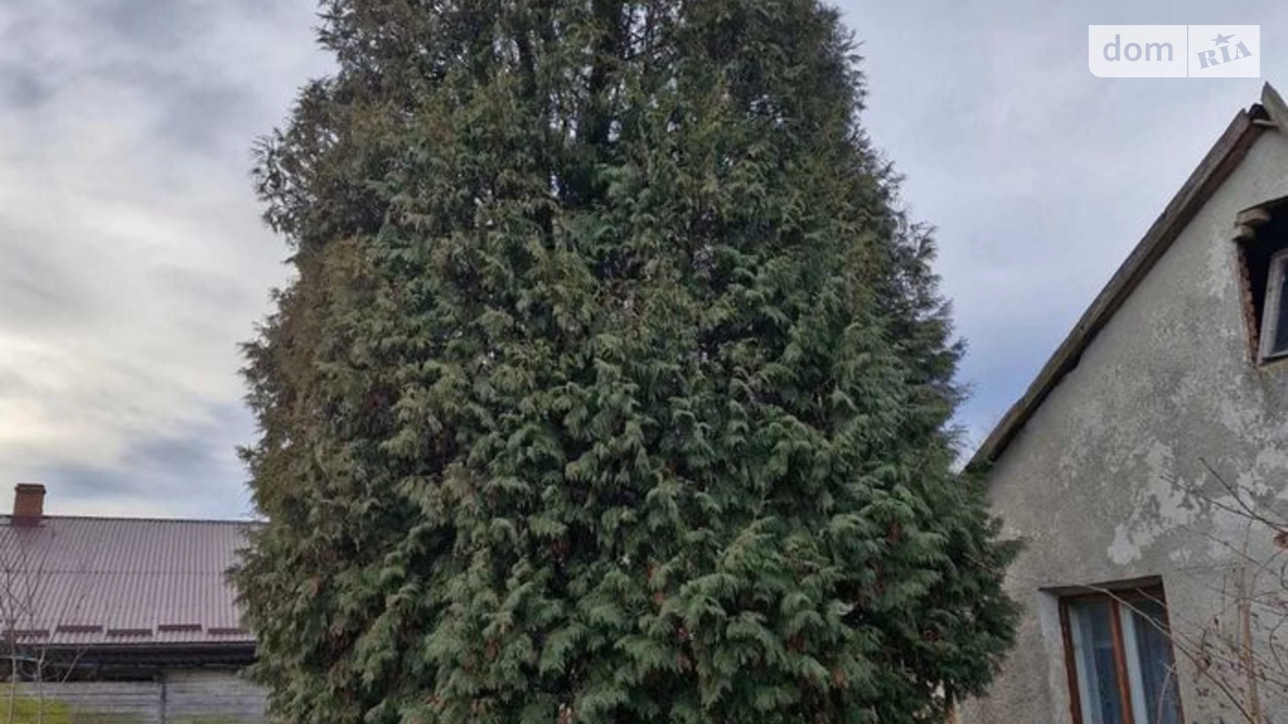 Продається одноповерховий будинок 75 кв. м з верандою, цена: 12100 $ - фото 4
