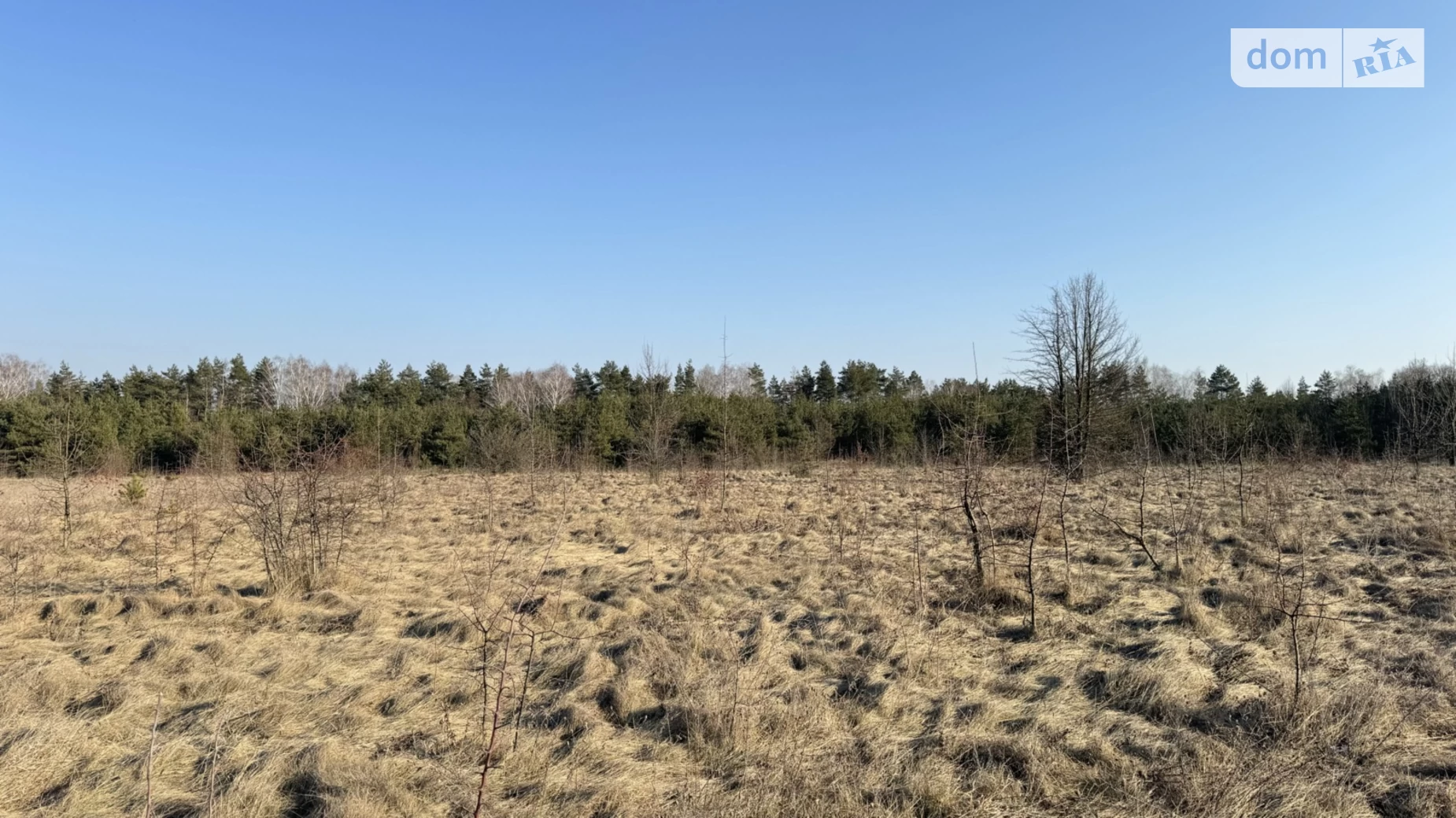 Широкая Гребля (Винница), цена: 4000 $ - фото 5