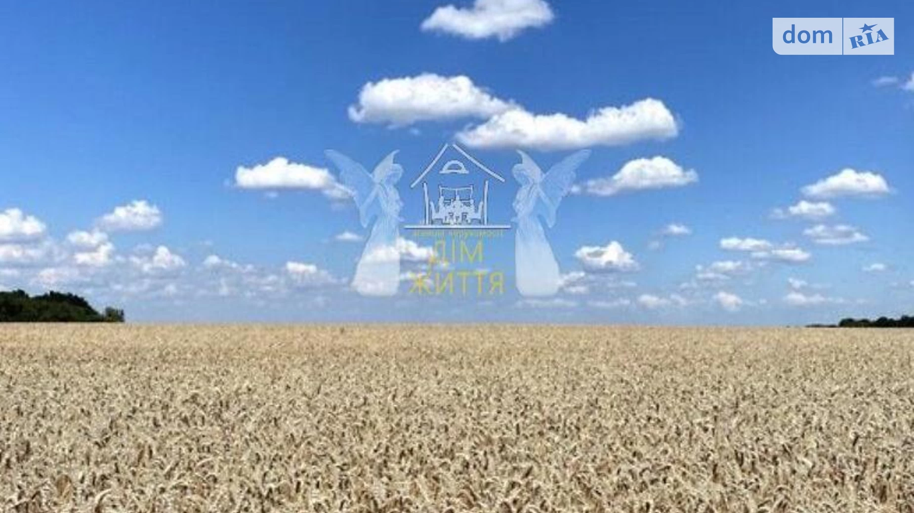 ул. Прибережная Колодное, цена: 4500 $ - фото 4