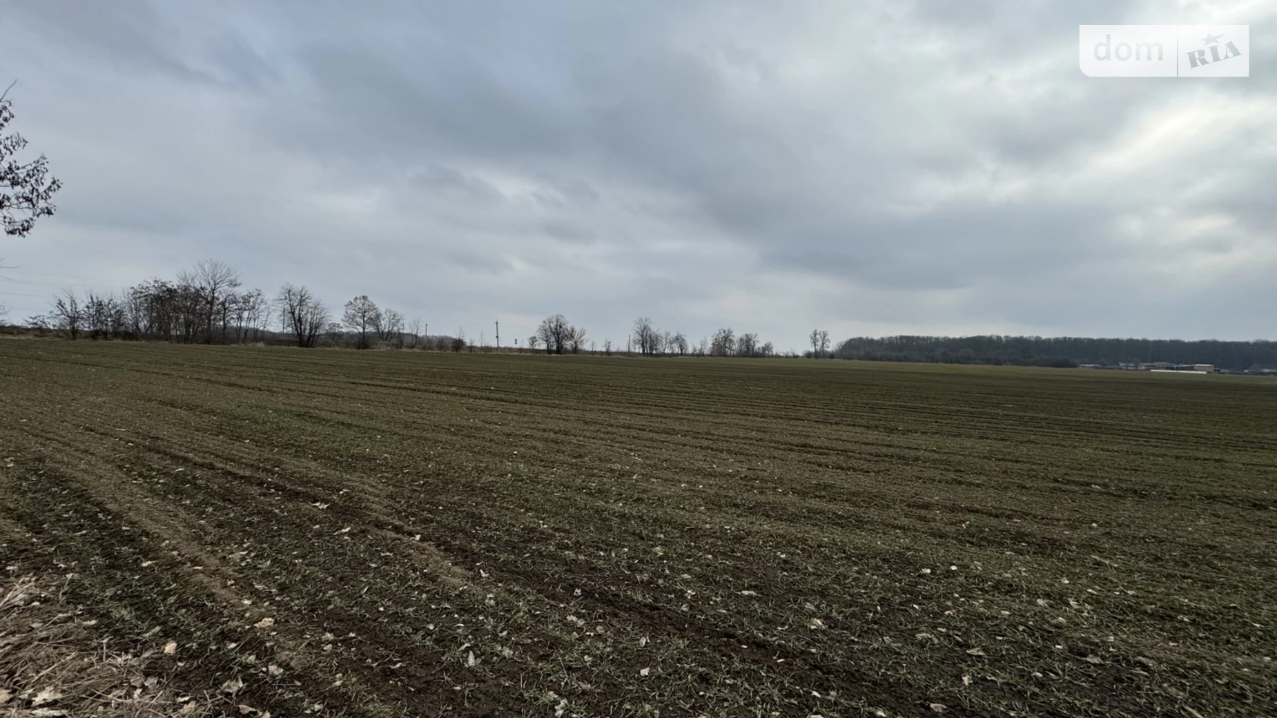 Тывровское шоссе Лука-Мелешковская, цена: 25000 $ - фото 4