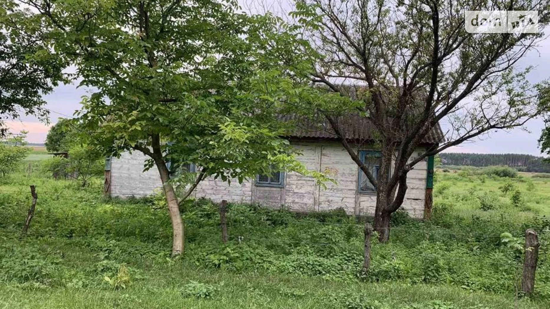 Продається одноповерховий будинок 60 кв. м з верандою, цена: 9000 $ - фото 3
