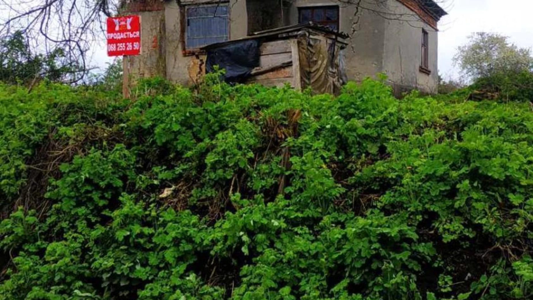 вул. Миру Смиківці, цена: 26000 $ - фото 5