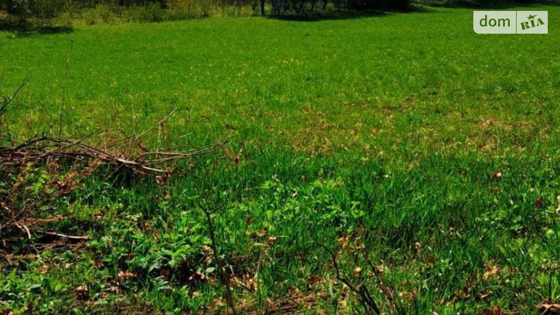 Продається земельна ділянка 18 соток у Тернопільській області, цена: 45000 $ - фото 5