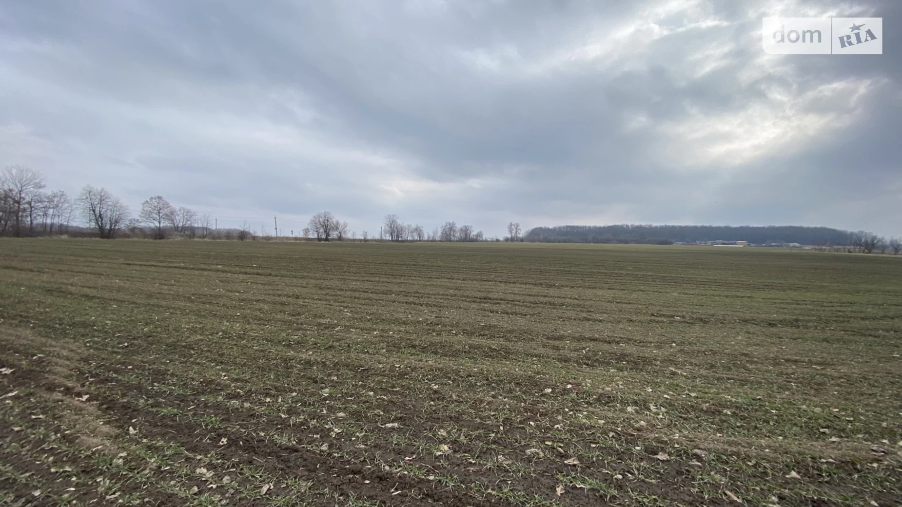 Тывровское шоссе Лука-Мелешковская, цена: 25000 $ - фото 3