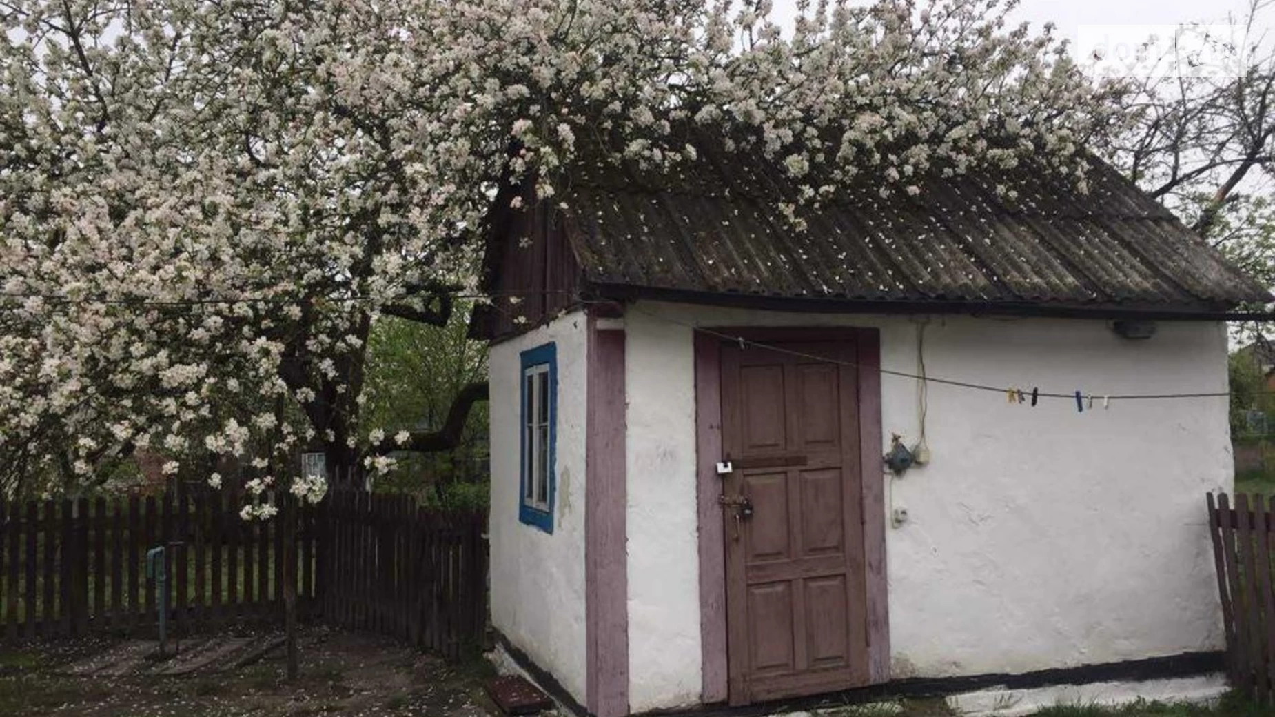 Продается одноэтажный дом 70 кв. м с беседкой, цена: 17000 $ - фото 5