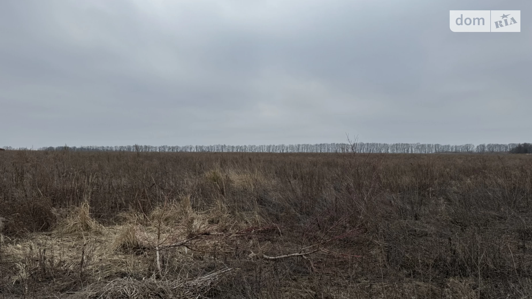 Агрономичное, цена: 15000 $ - фото 4