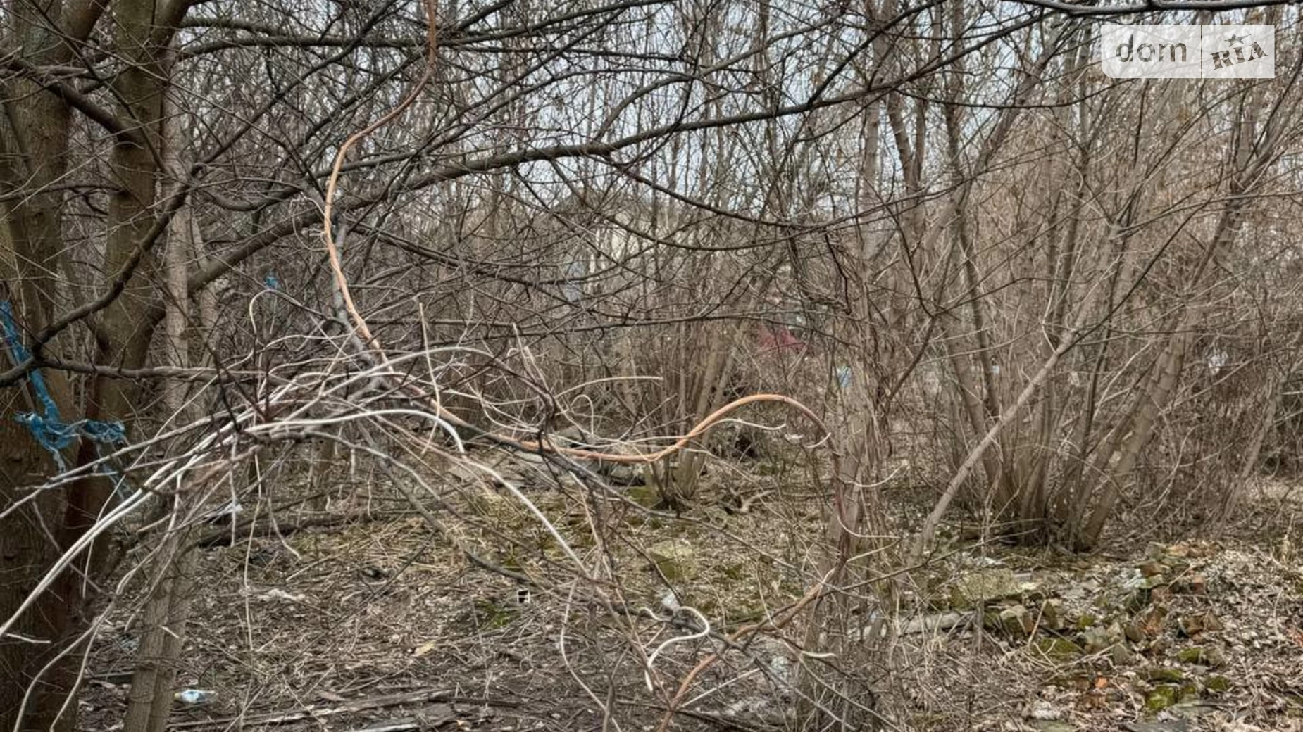 ул. Жеваги Обухов, цена: 13000 $ - фото 4