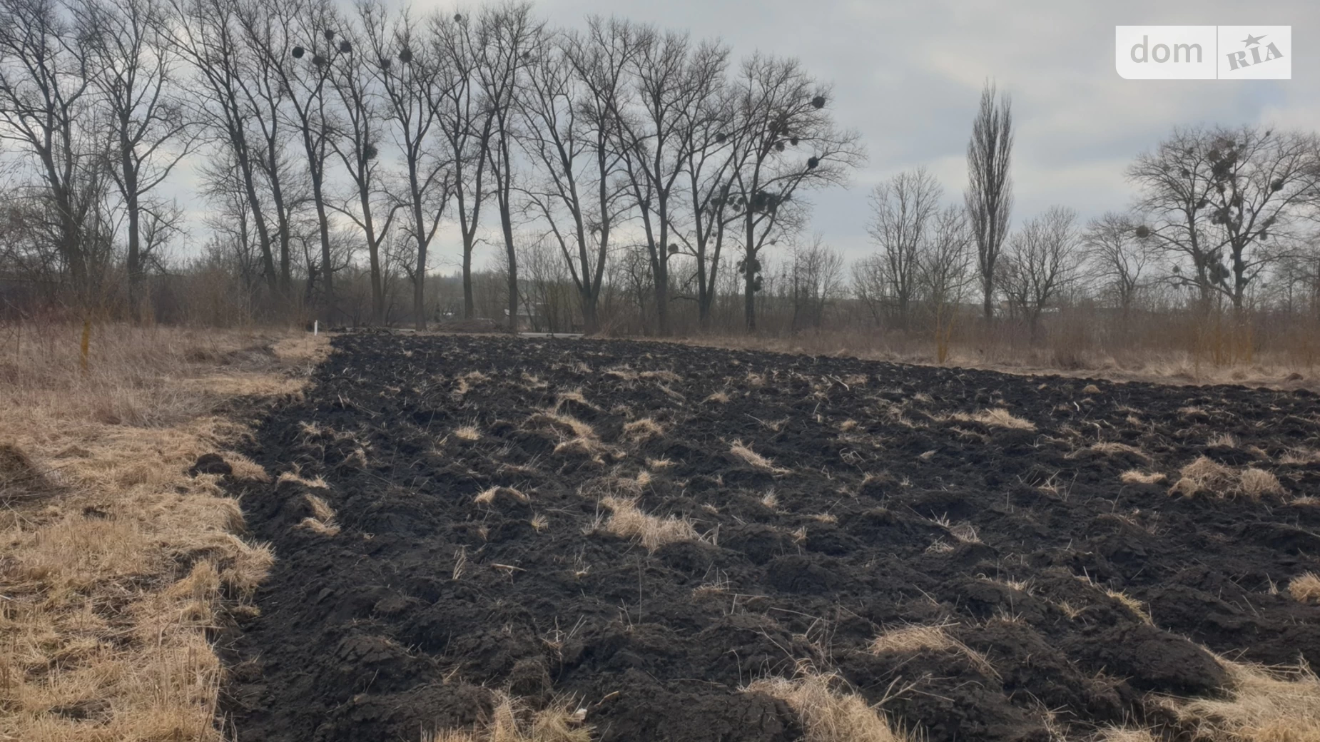 Продається земельна ділянка 20 соток у Хмельницькій області, цена: 40000 $ - фото 5