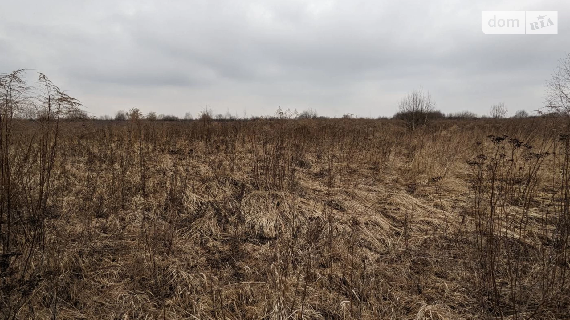 Продається земельна ділянка 20 соток у Івано-Франківській області, цена: 22000 $ - фото 3