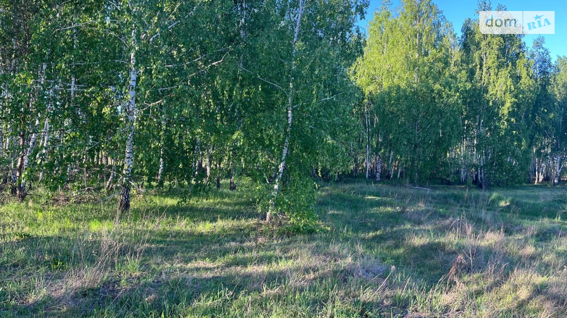 Озера, цена: 6000 $ - фото 5