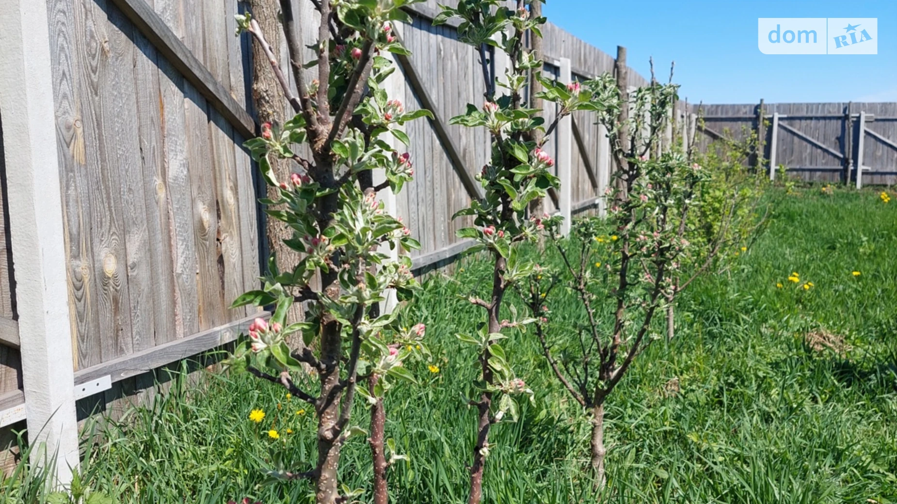 Продается земельный участок 5 соток в Киевской области, цена: 12500 $ - фото 3