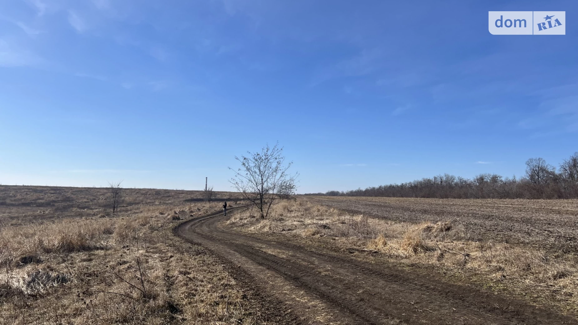 Лісові Гринівці, цена: 5000 $ - фото 2