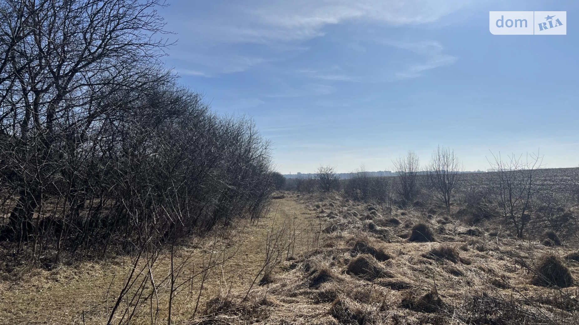 Лісові Гринівці, цена: 6000 $ - фото 4
