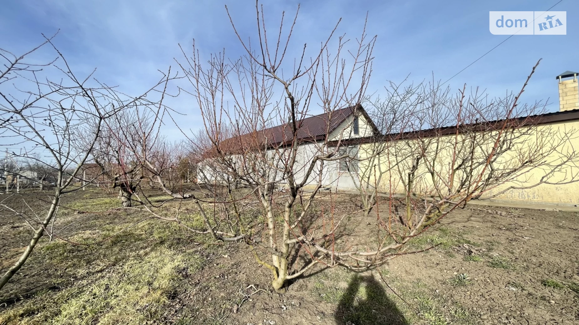 Продается одноэтажный дом 100 кв. м с бассейном, цена: 45000 $ - фото 5