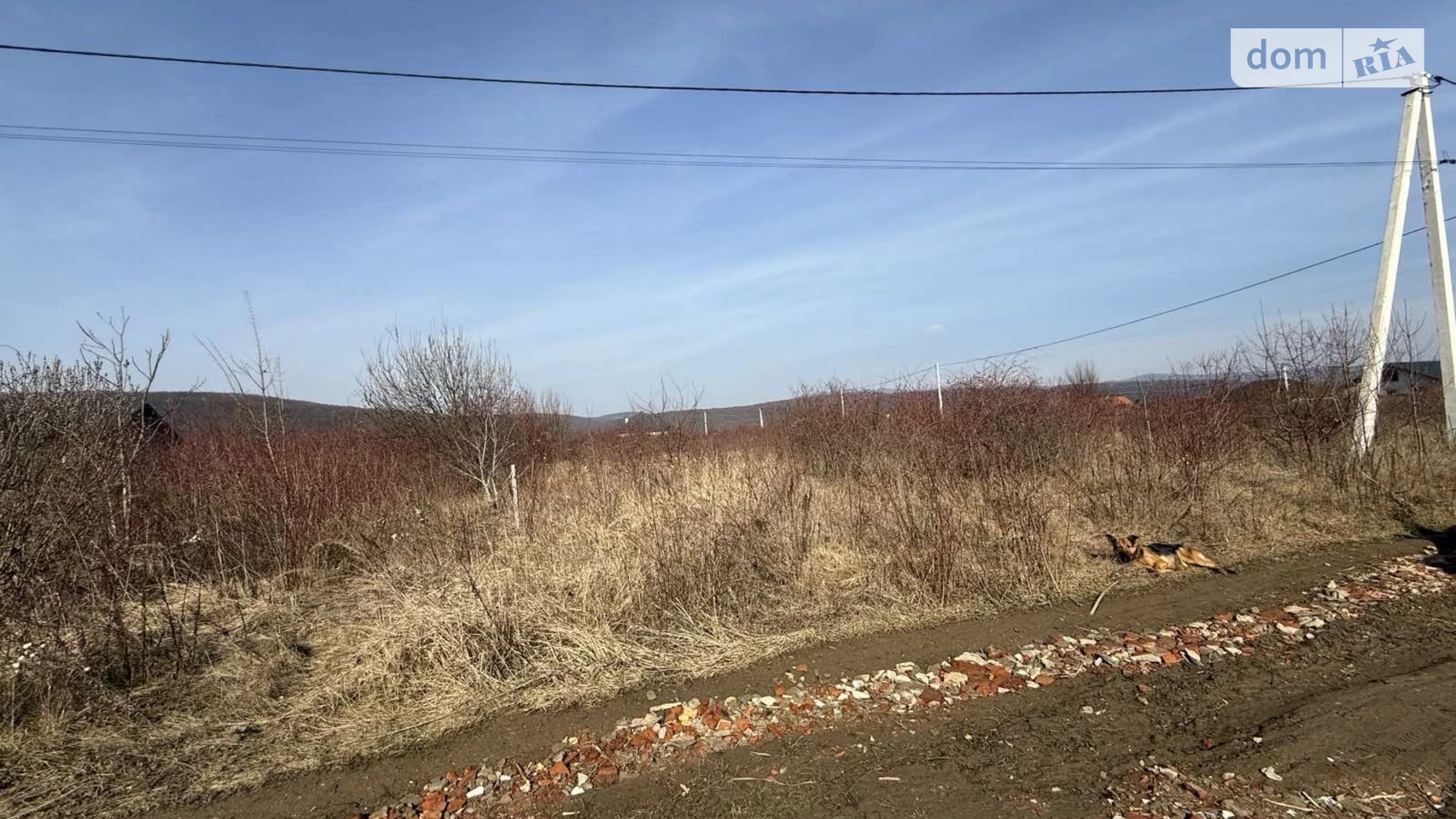 Продається земельна ділянка 8.69 соток у Закарпатській області, цена: 21000 $ - фото 4