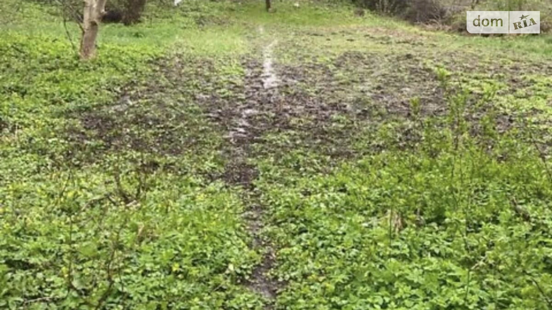 Продается земельный участок 70 соток в Тернопольской области, цена: 413000 $ - фото 2