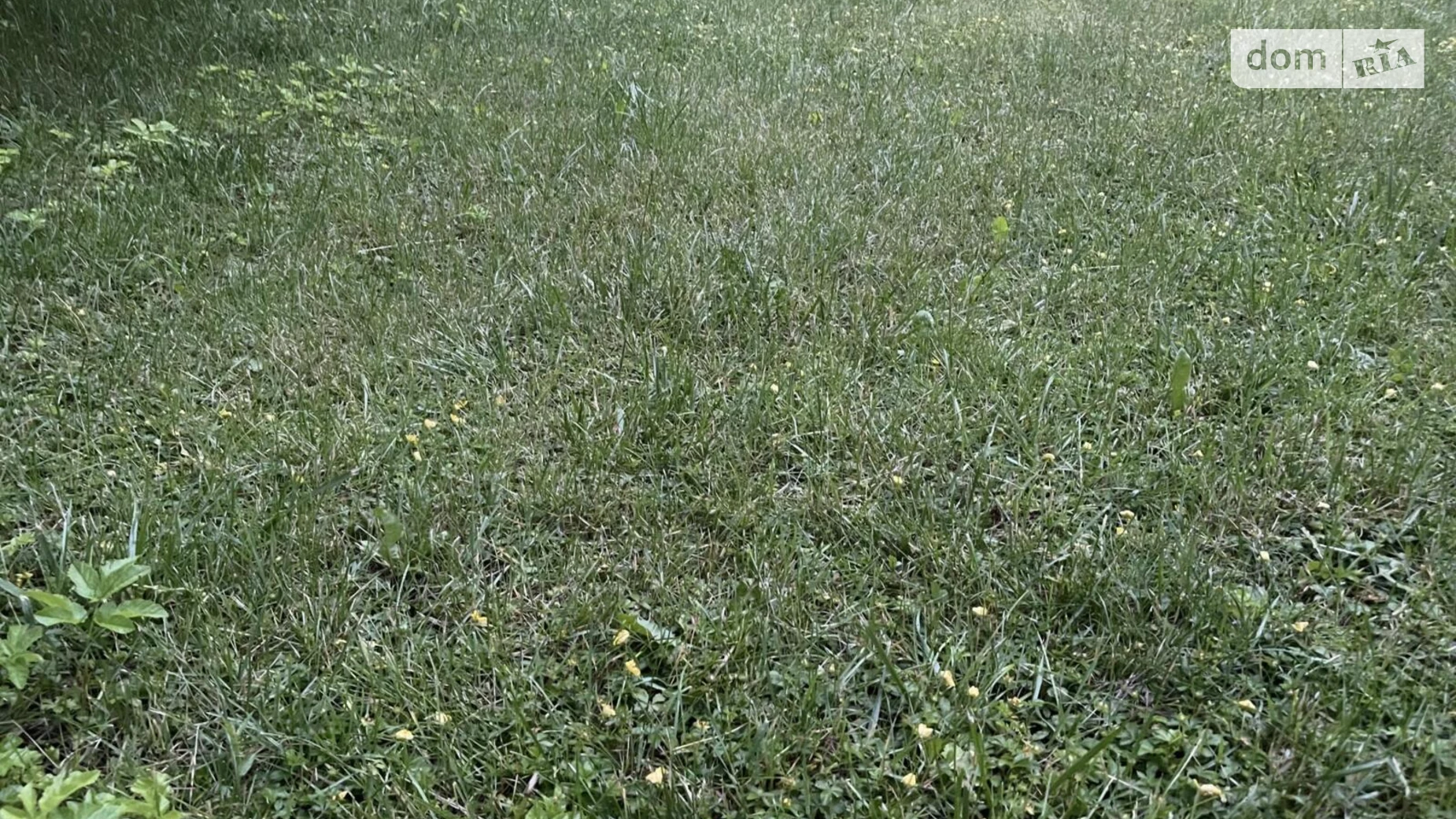 Продается земельный участок 550 соток в Тернопольской области, цена: 1430000 $ - фото 2