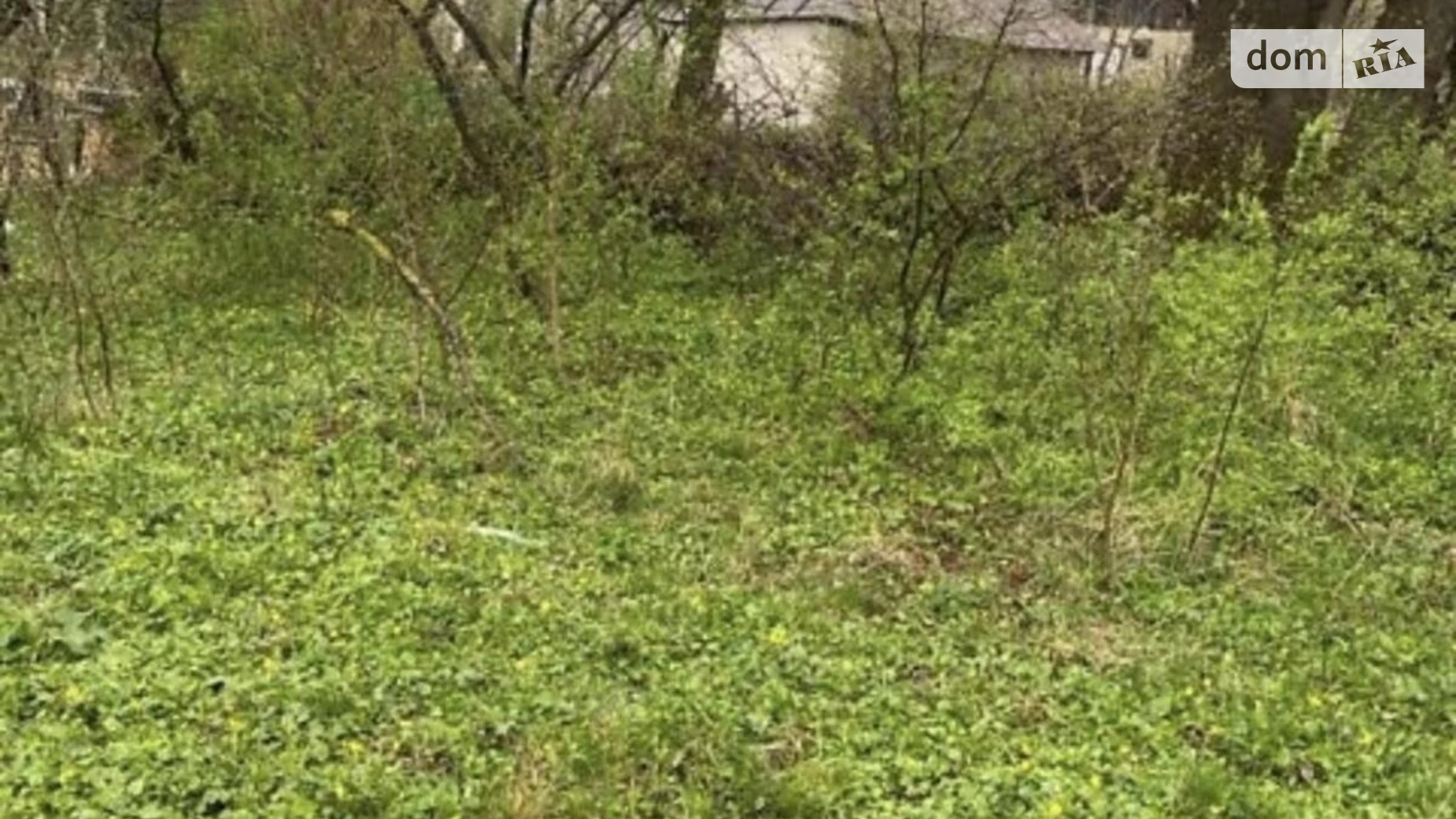 Продается земельный участок 70 соток в Тернопольской области, цена: 413000 $ - фото 3