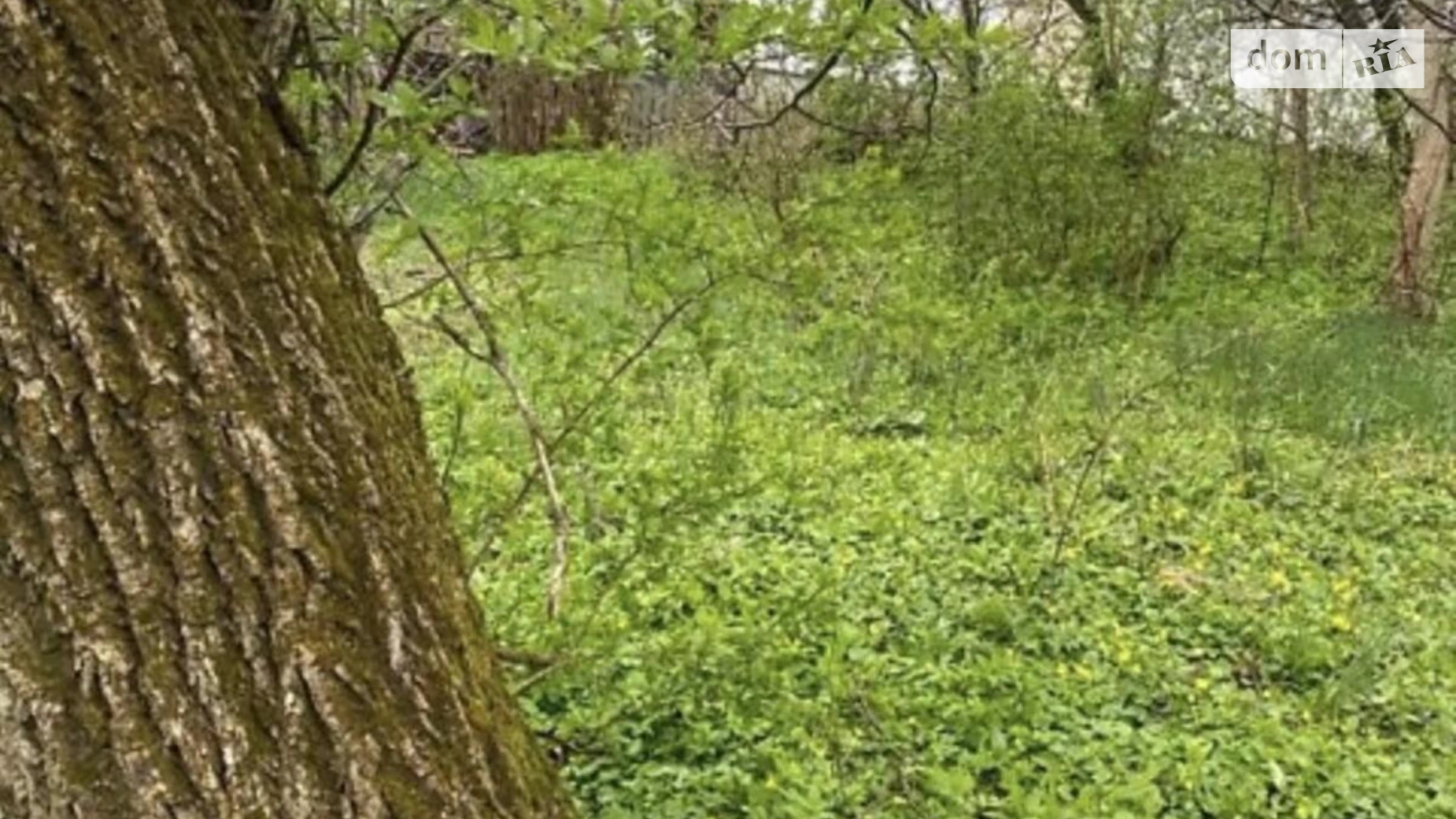 Продается земельный участок 70 соток в Тернопольской области, цена: 413000 $ - фото 4