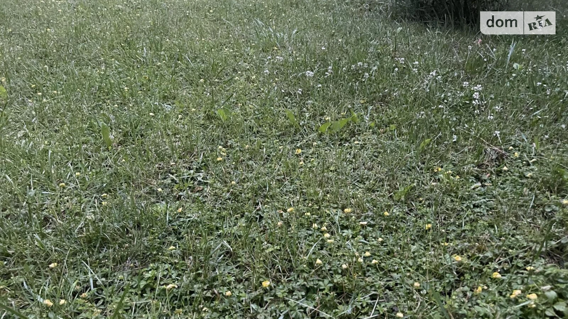 Продается земельный участок 550 соток в Тернопольской области, цена: 1430000 $ - фото 3