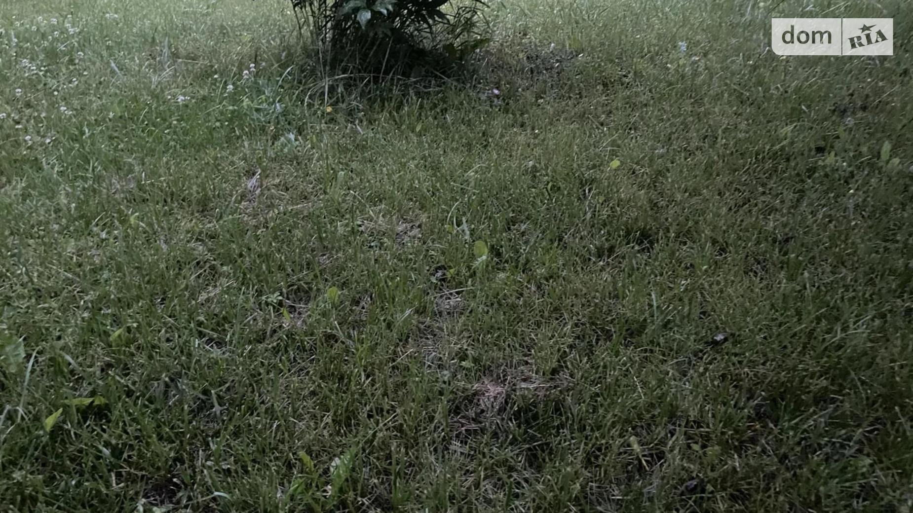 Продается земельный участок 550 соток в Тернопольской области, цена: 1430000 $ - фото 4