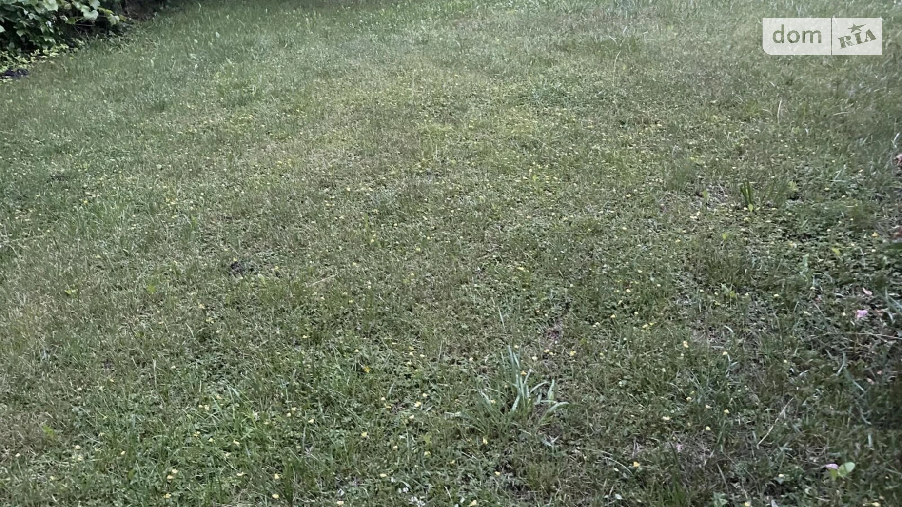 Продается земельный участок 550 соток в Тернопольской области, цена: 1430000 $ - фото 5