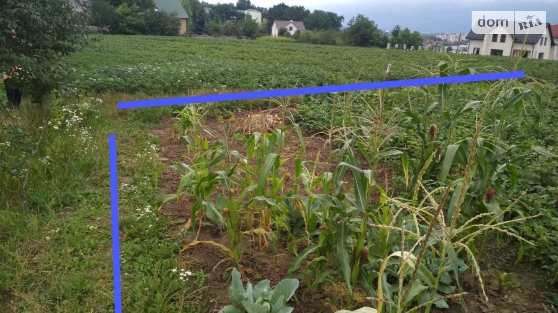 Продається земельна ділянка 12 соток у Тернопільській області, цена: 22500 $ - фото 2