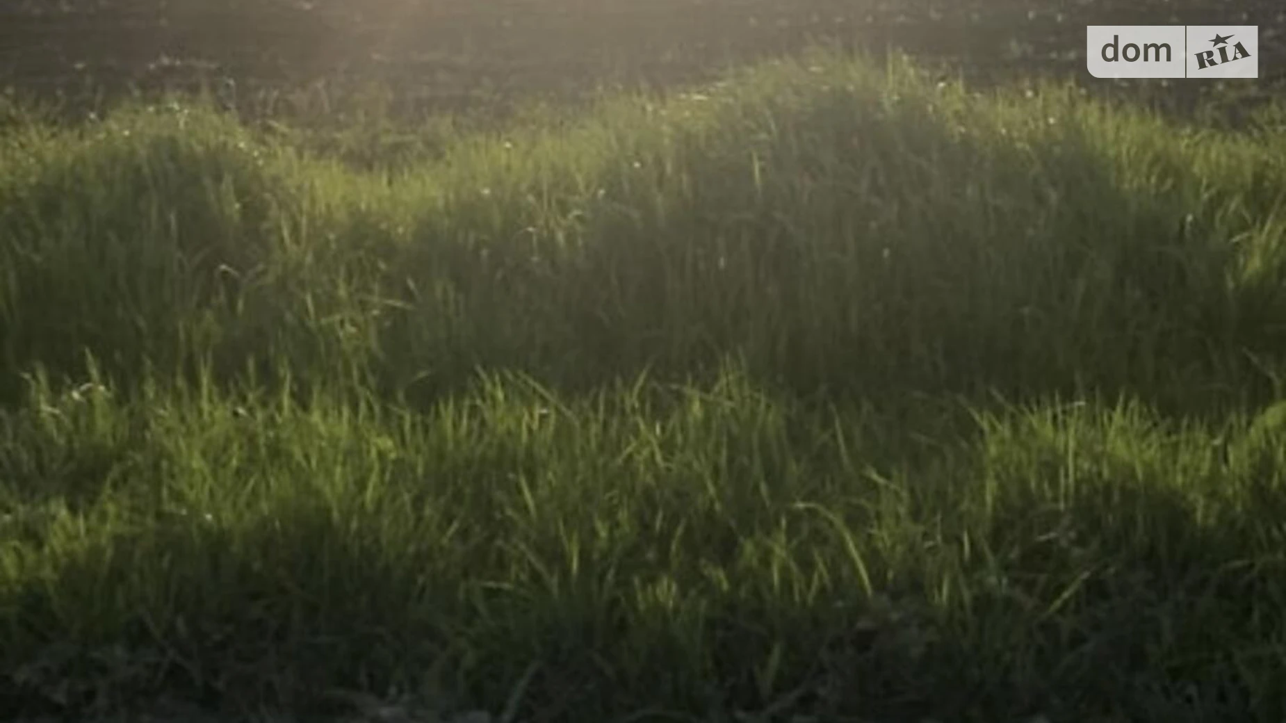 Продается земельный участок 155 соток в Тернопольской области, цена: 170000 $ - фото 5