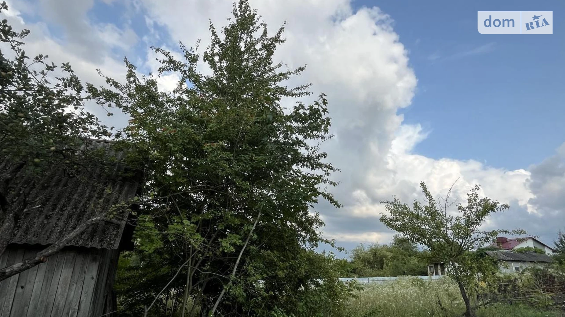 Продается земельный участок 6 соток в Тернопольской области, цена: 10000 $ - фото 4