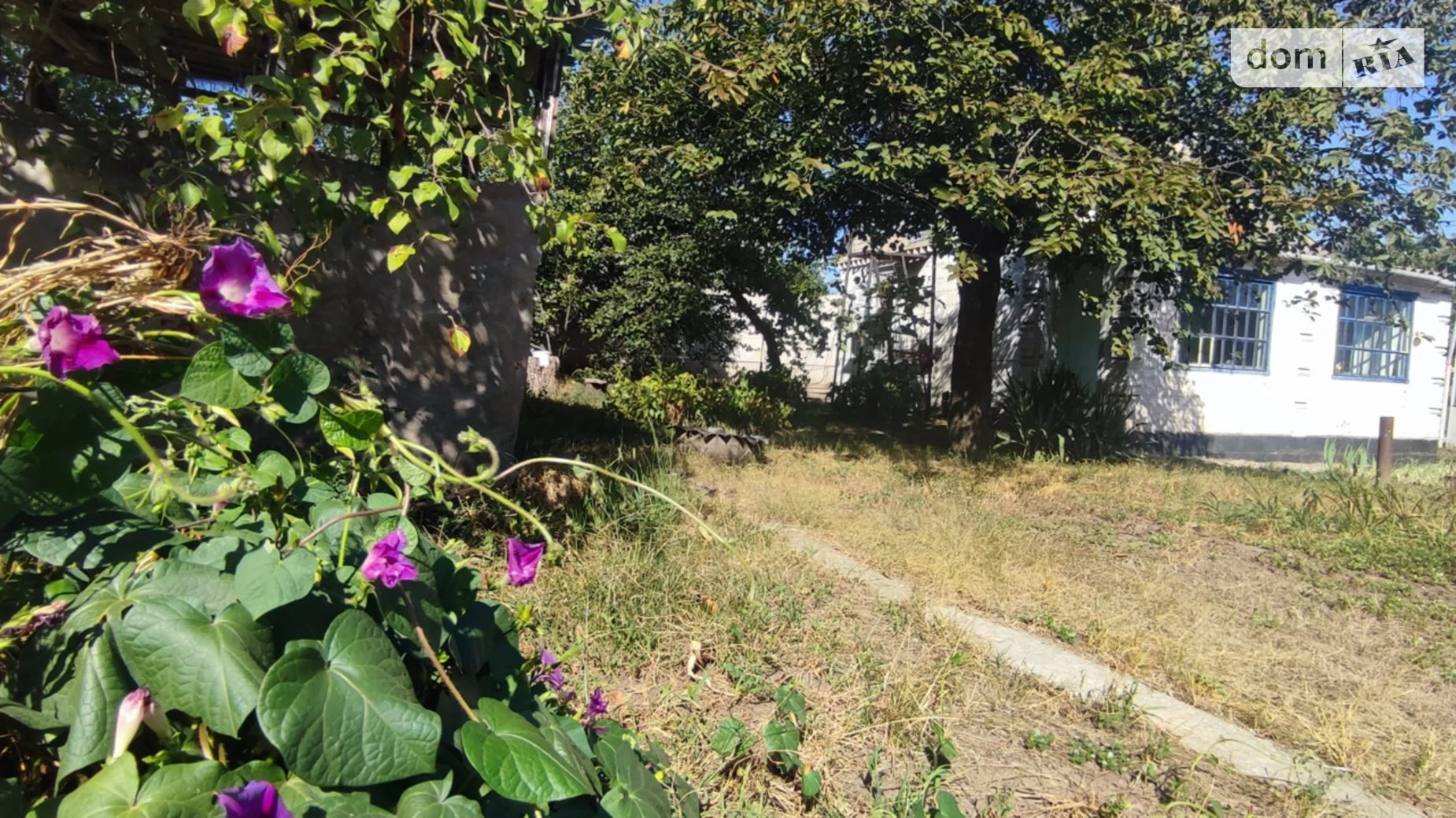 Продається одноповерховий будинок 39 кв. м с басейном, цена: 7300 $ - фото 4