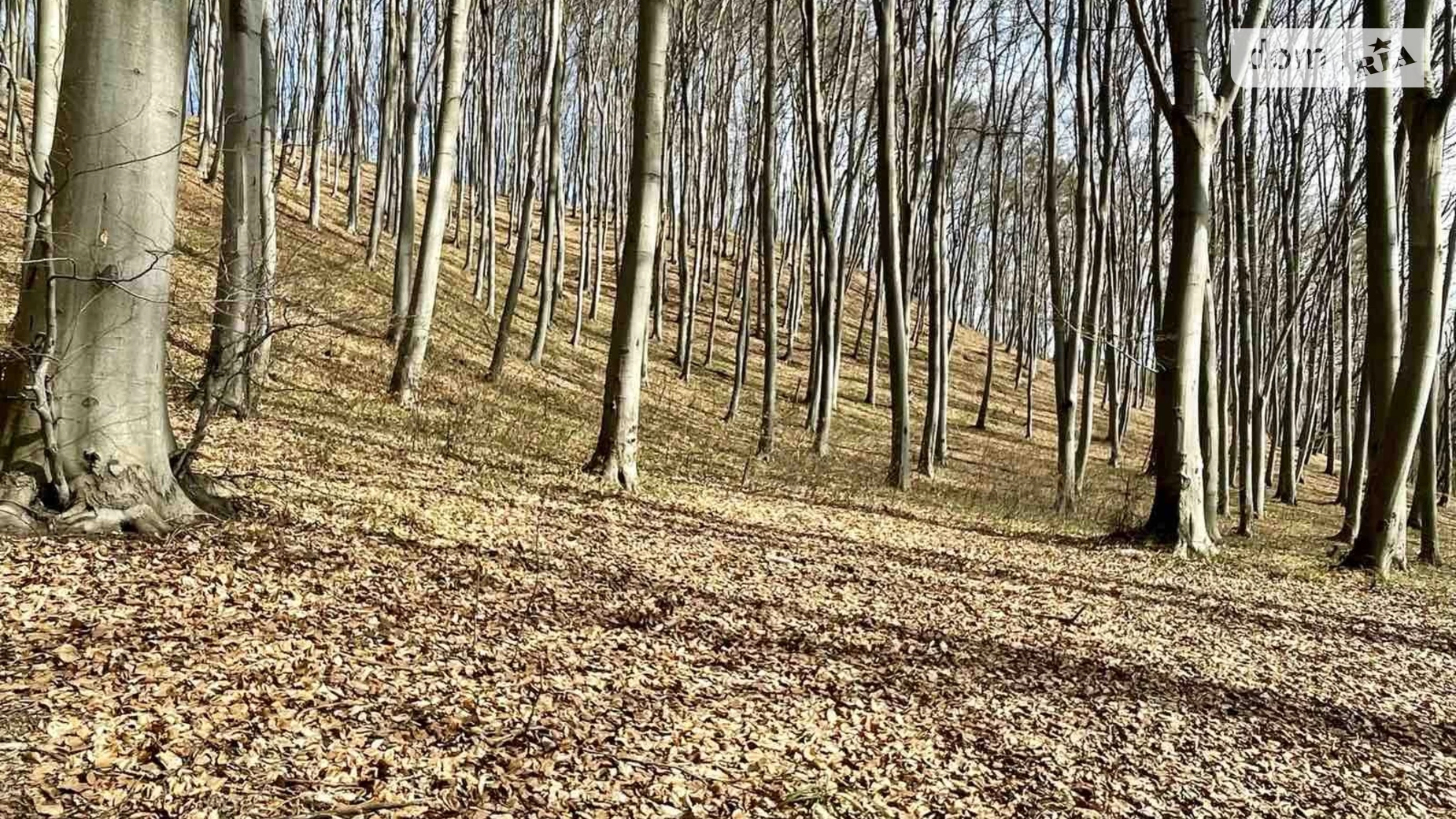 Старе село, цена: 30000 $ - фото 2