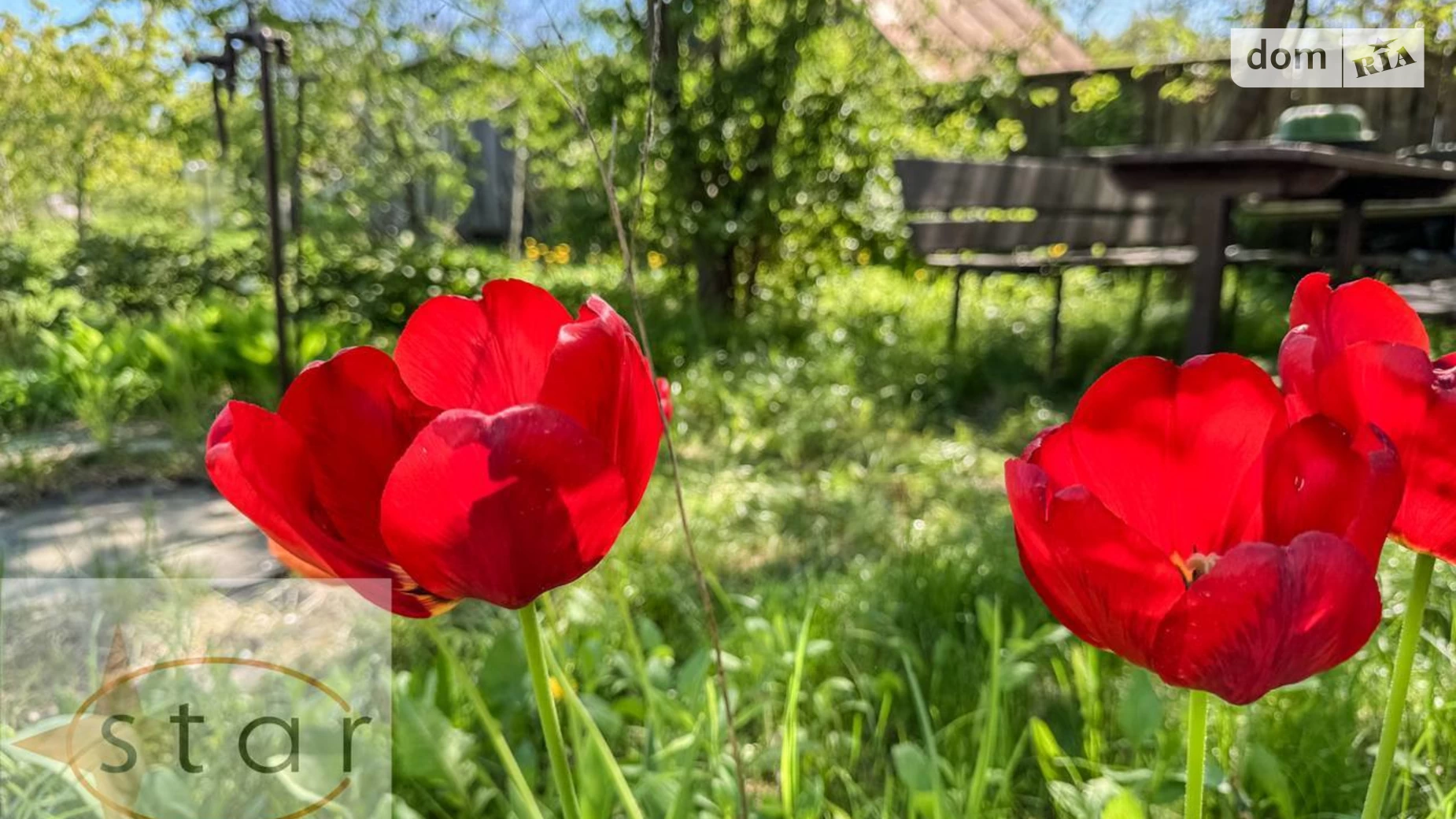 Продається земельна ділянка 10 соток у Чернігівській області, цена: 45000 $ - фото 2
