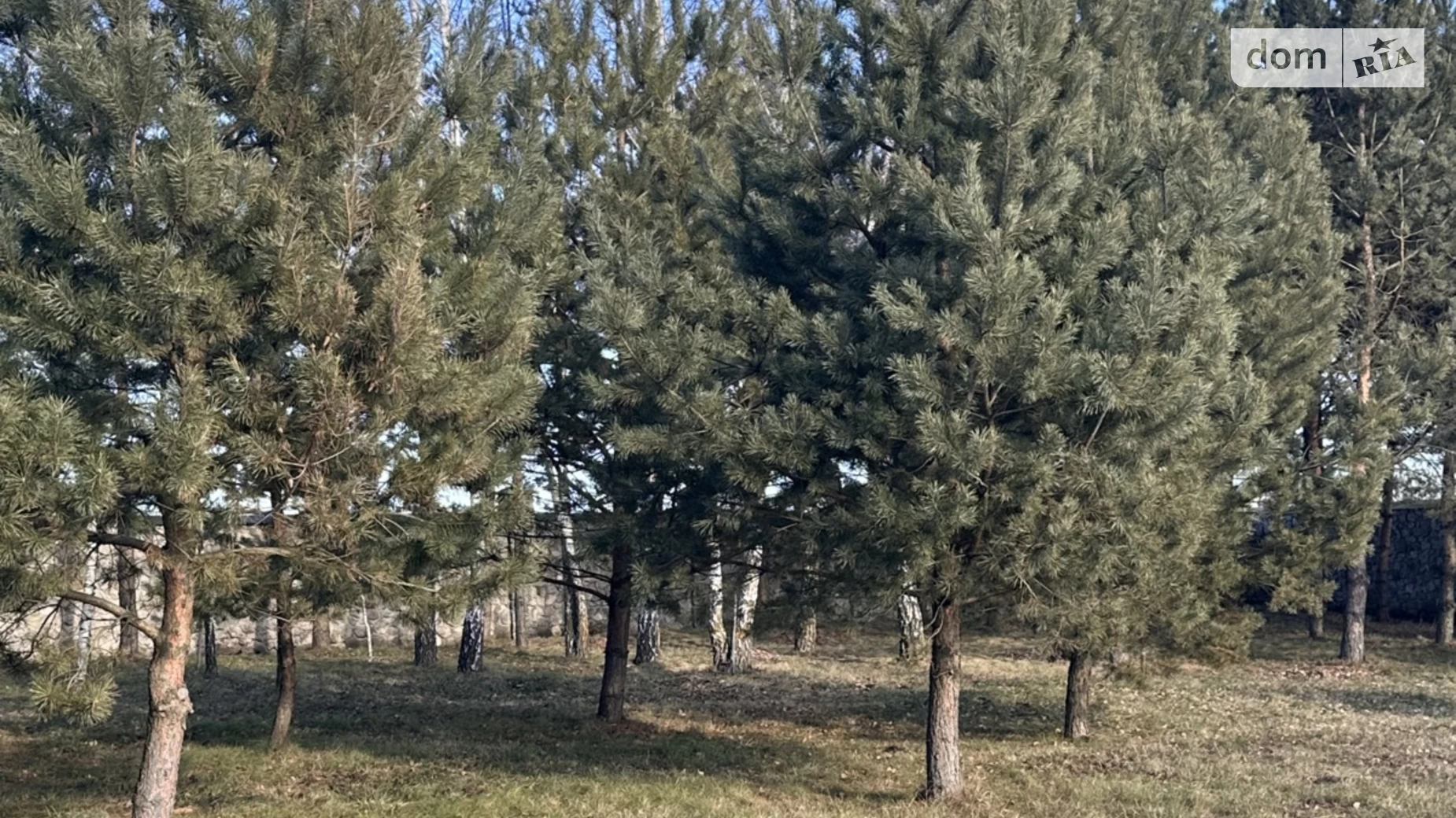 Продается дом на 3 этажа 750 кв. м с беседкой, цена: 350000 $ - фото 2