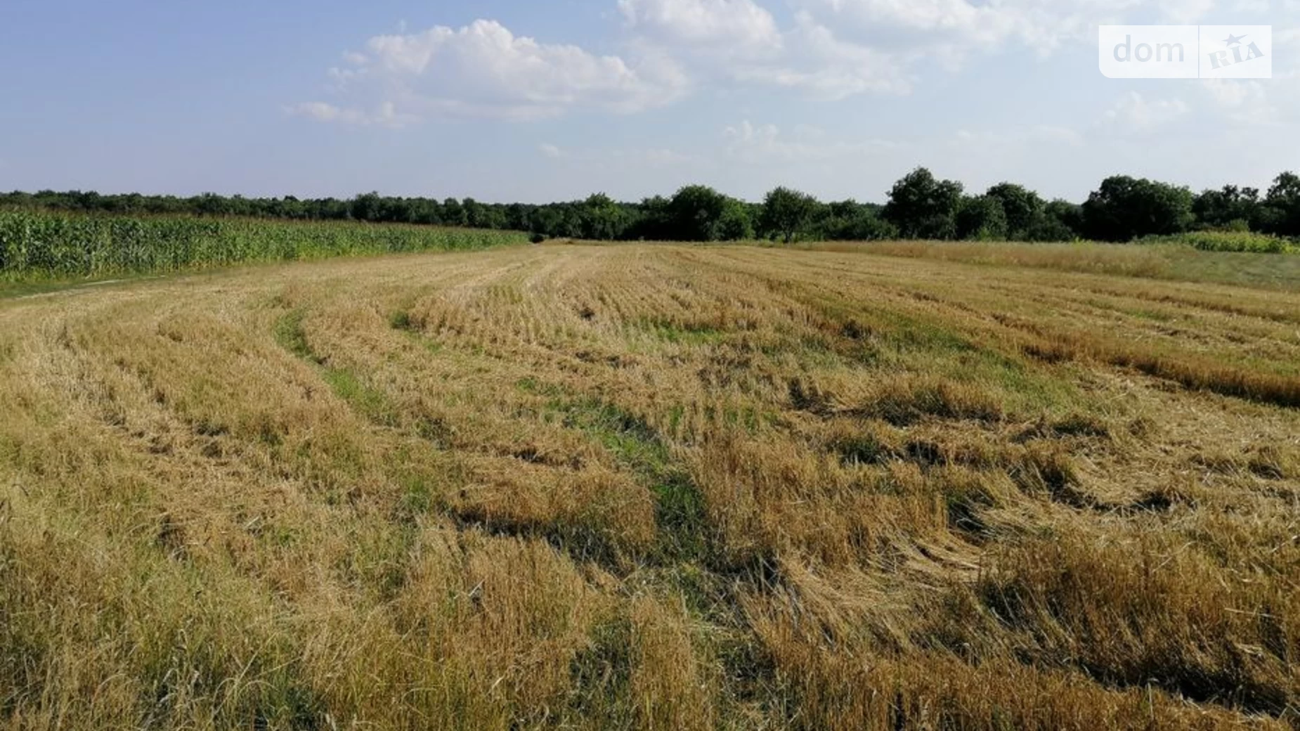 Продається одноповерховий будинок 54.7 кв. м з ділянкою, цена: 4100 $ - фото 3