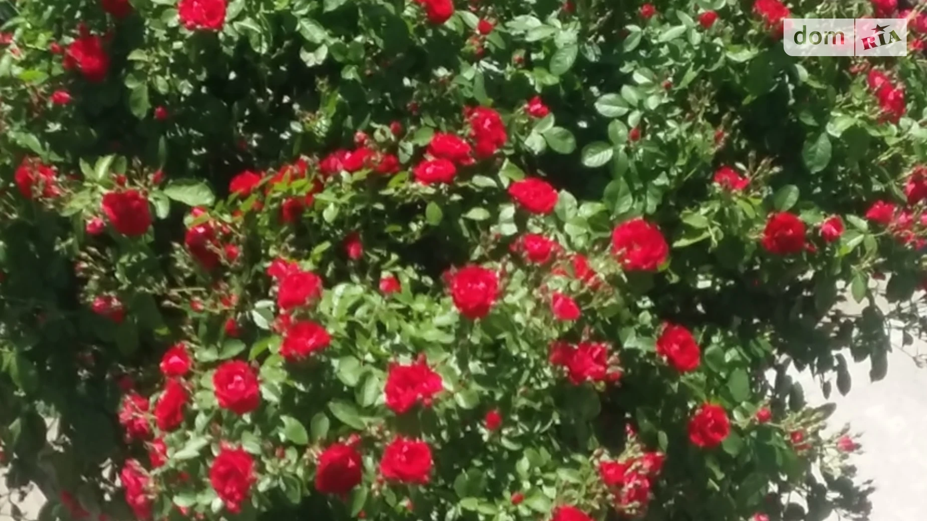 Продається 1-кімнатна квартира 19.5 кв. м у Меджибожі, вул. Шевченка, 5 - фото 5