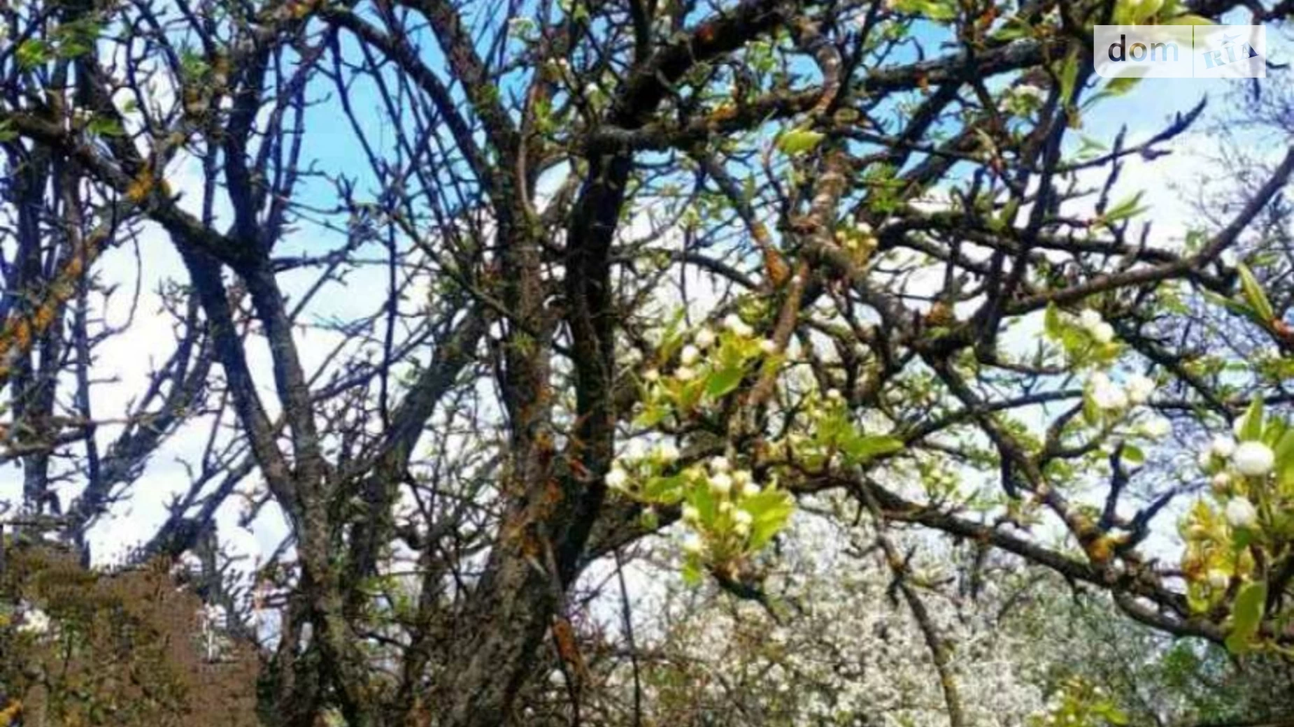 Продається земельна ділянка 12 соток у Тернопільській області, цена: 11000 $ - фото 5