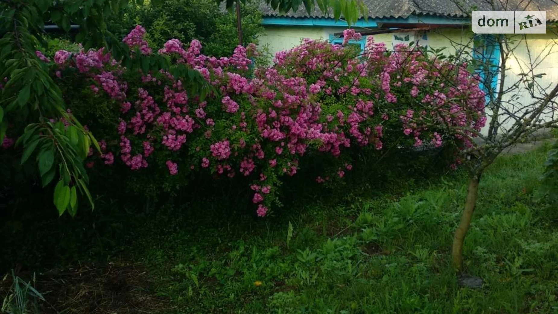 Продается одноэтажный дом 73 кв. м с балконом, цена: 12000 $ - фото 5