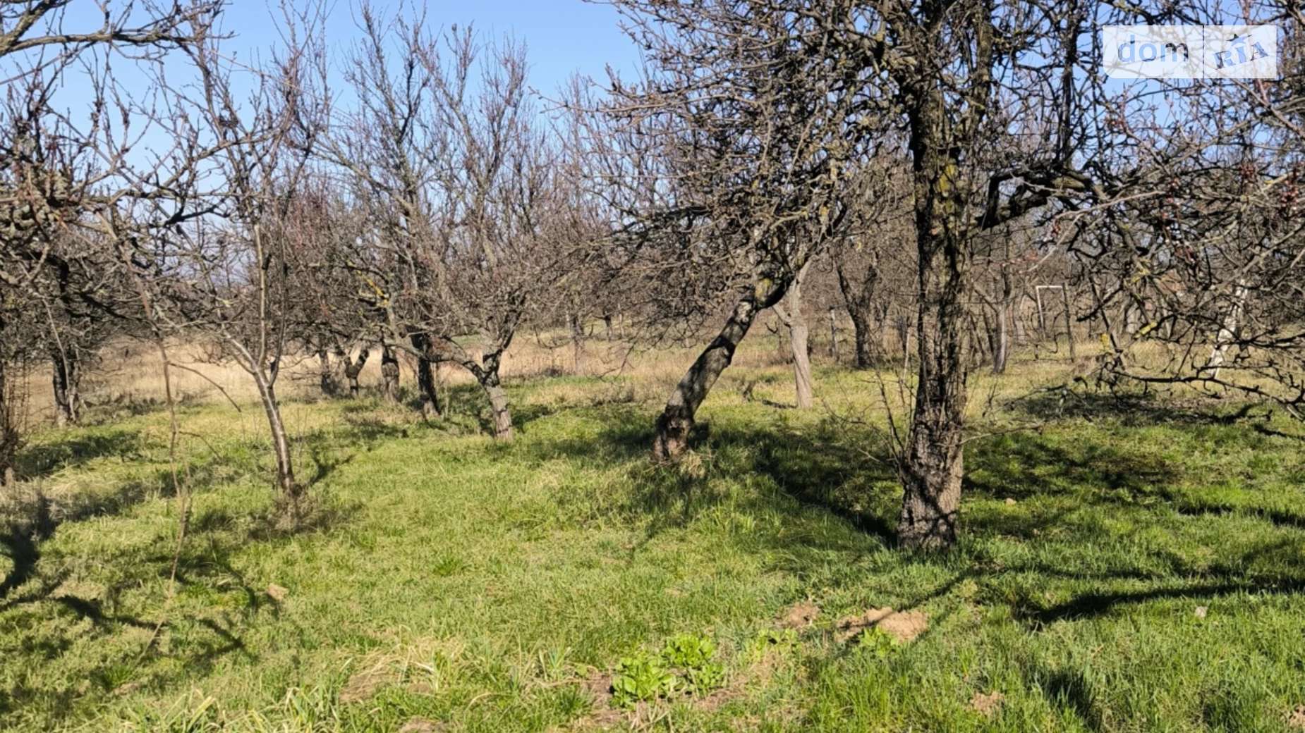 Продається одноповерховий будинок 70 кв. м с басейном, цена: 63000 $ - фото 2