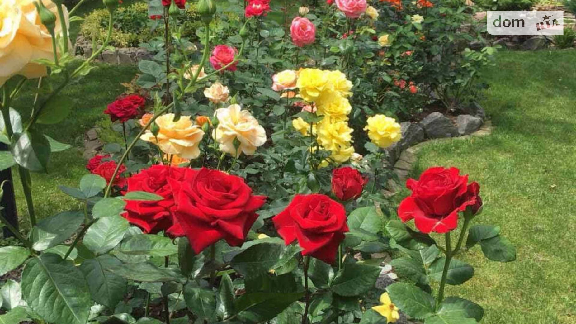 Продається земельна ділянка 456 соток у Вінницькій області, цена: 9500 $ - фото 5