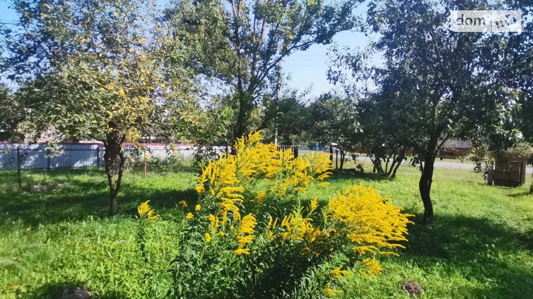 Продається одноповерховий будинок 40 кв. м з меблями, цена: 3800 $ - фото 4